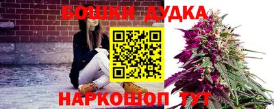 амф Новокубанск